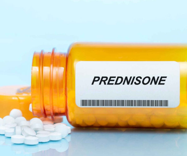 Order Prednisone online